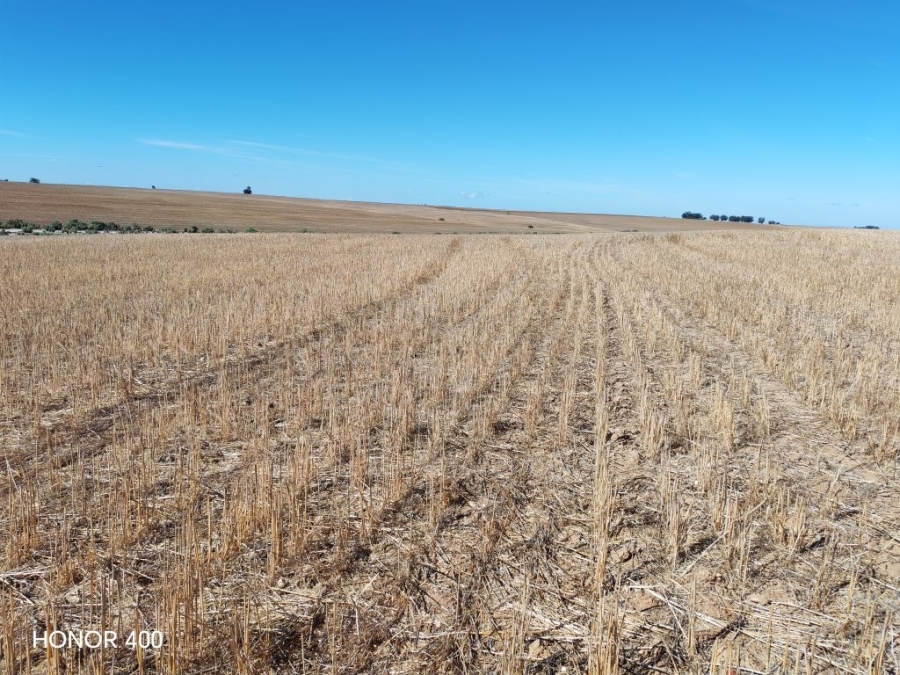 0 Bedroom Property for Sale in Hopefield Rural Western Cape